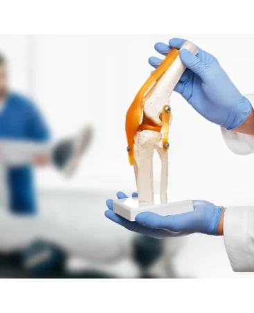 physiotherapist-holds-an-anatomical-human-knee-joi-physiozen